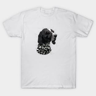 Blue Tick Coonhound T-Shirt